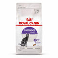 Snacks gourmet para gatos con ingredientes naturales